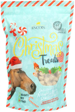 Lincoln Christmas Treats - Mince Pie Flavour