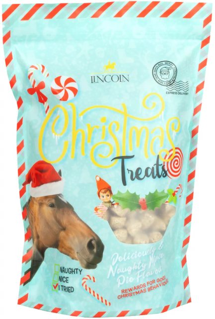 Lincoln Christmas Treats - Mince Pie Flavour