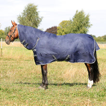 Load image into Gallery viewer, StormX Empra 100 Combi Turnout Rug