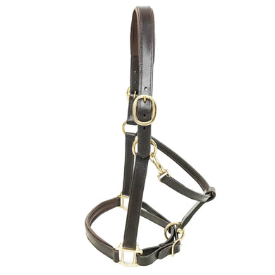 KM Elite Padded Leather Headcollar