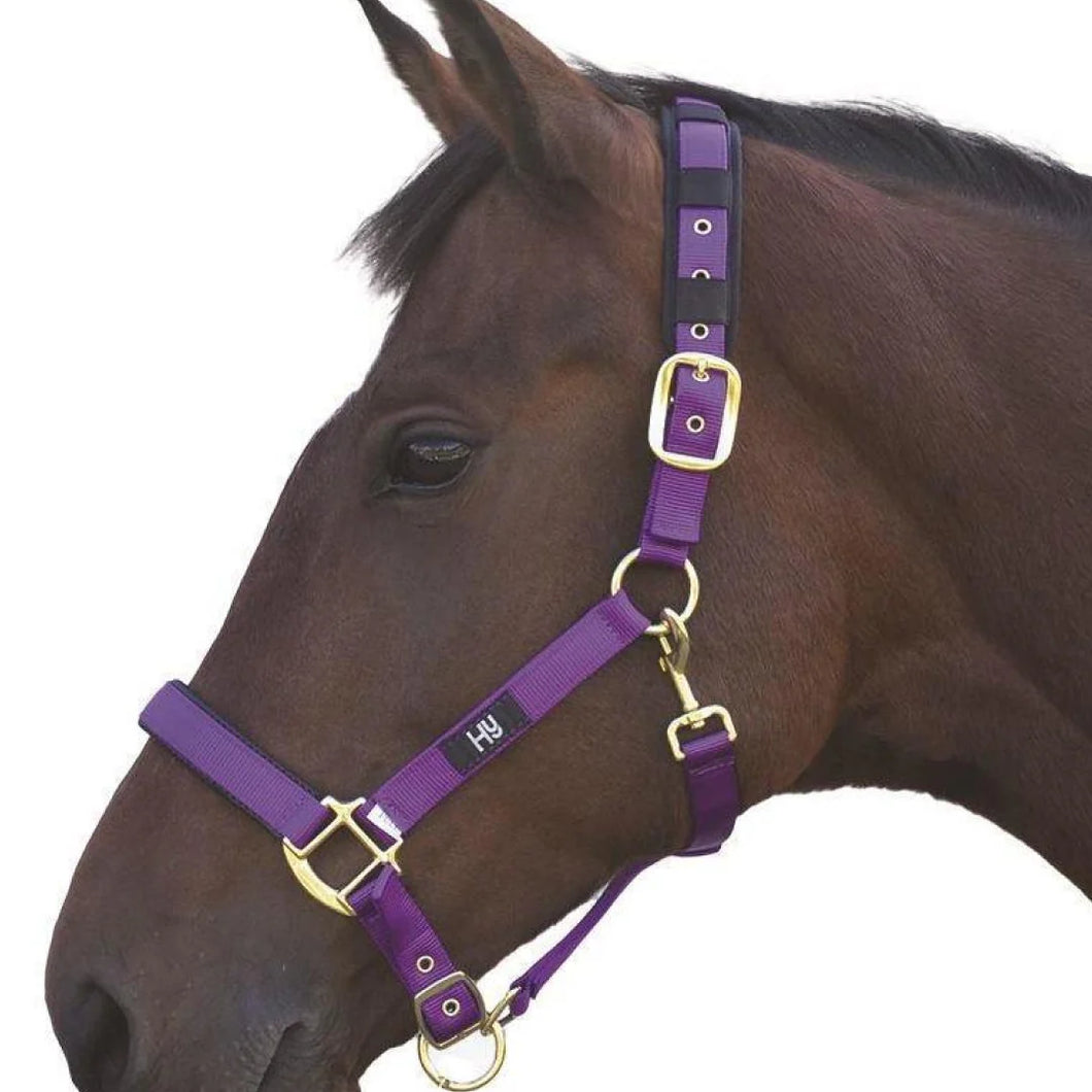 Hy-Equestrian Deluxe Padded Headcollar