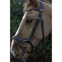 Load image into Gallery viewer, Cameo Ecorider Ultra Comfort Kilkenny Bridle