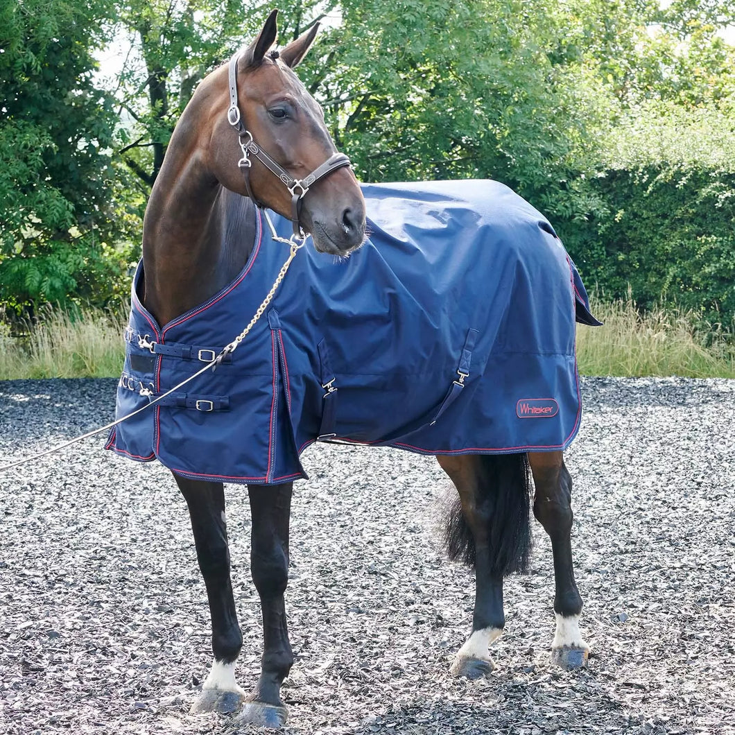 Whitaker Rastrick Turnout Rug 200 GM