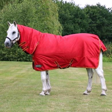 StormX Original 200 Combi Turnout Rug