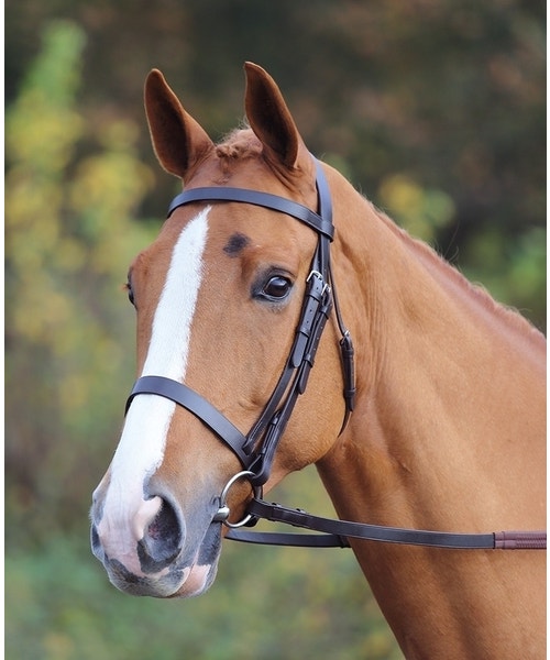 Shires Aviemore Plain Bridle