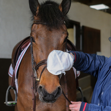 Load image into Gallery viewer, Carr &amp; Day &amp; Martin Belvoir Tack Cleaner Mitt - Step 1