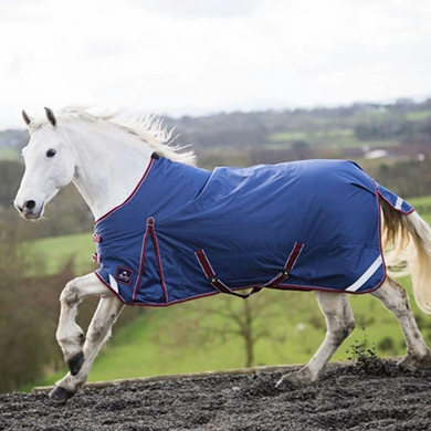 Keadeen 250g Standard Neck Turnout Rug