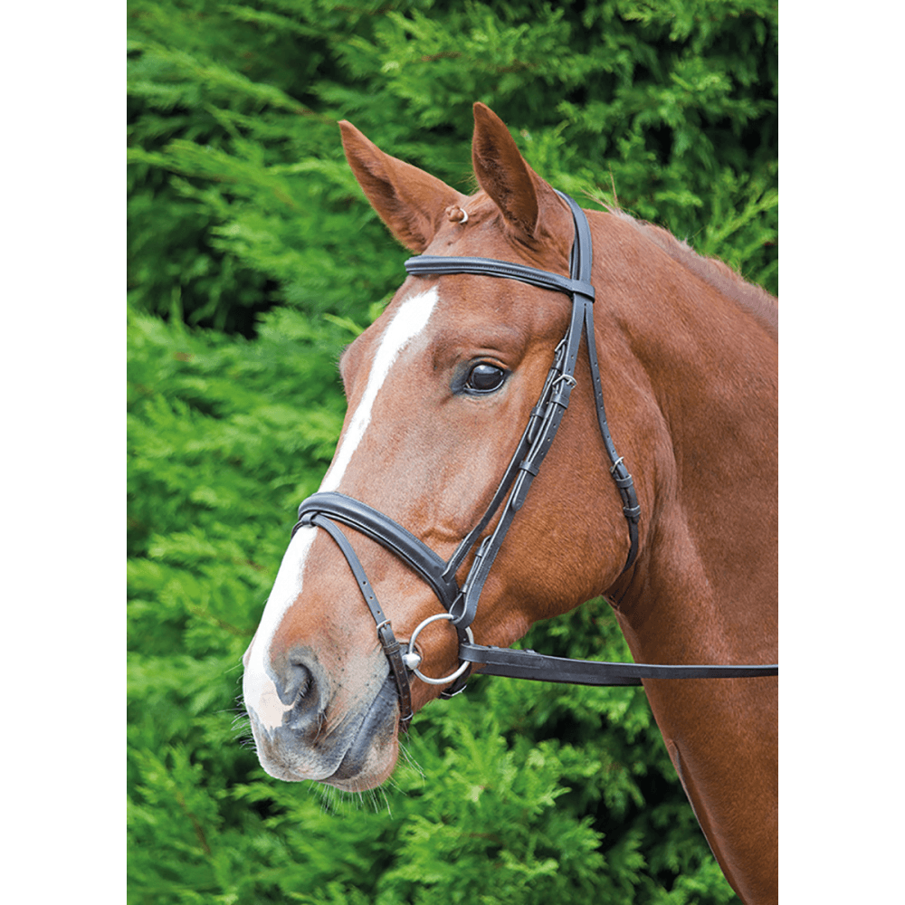 Velociti Gara Comfort Fit Bridle